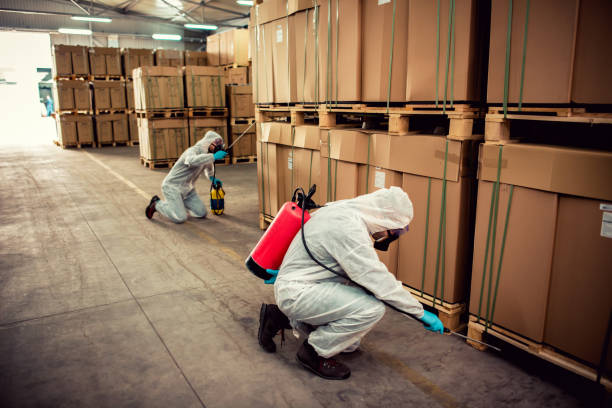 Pest Control for Restaurants in Bethalto, IL