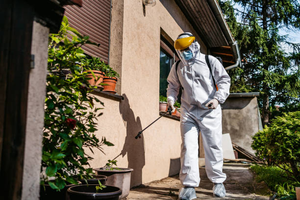 Best Flea Control Services  in Bethalto, IL