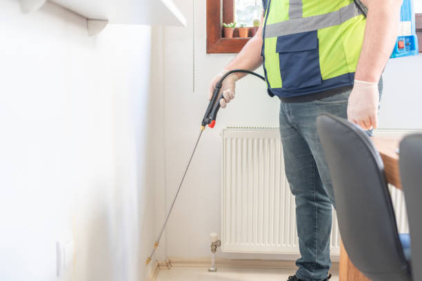 Best Affordable Pest Control Services  in Bethalto, IL