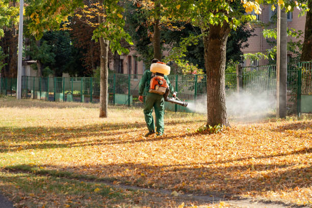 Trusted Bethalto, IL Pest Control Experts