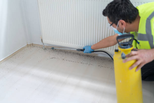 Best Pest Control Near Me in Bethalto, IL