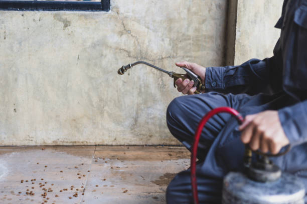 Best Pest Control Near Me  in Bethalto, IL
